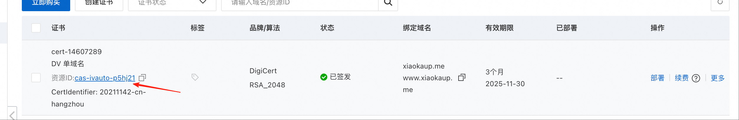 2025-09-01-img-4-aliyun-update-ssl-certification.png