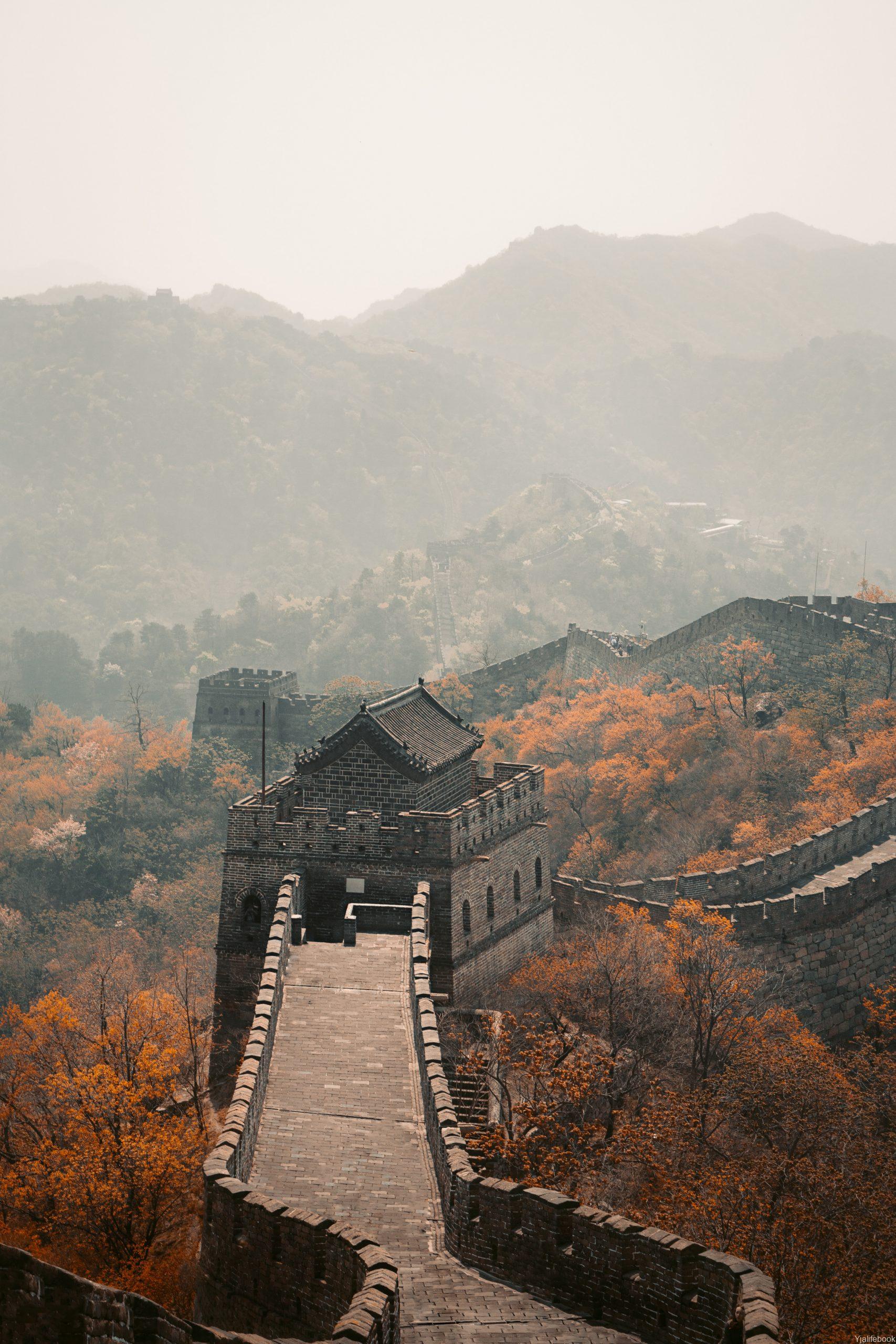 中国的历史朝代有哪些？