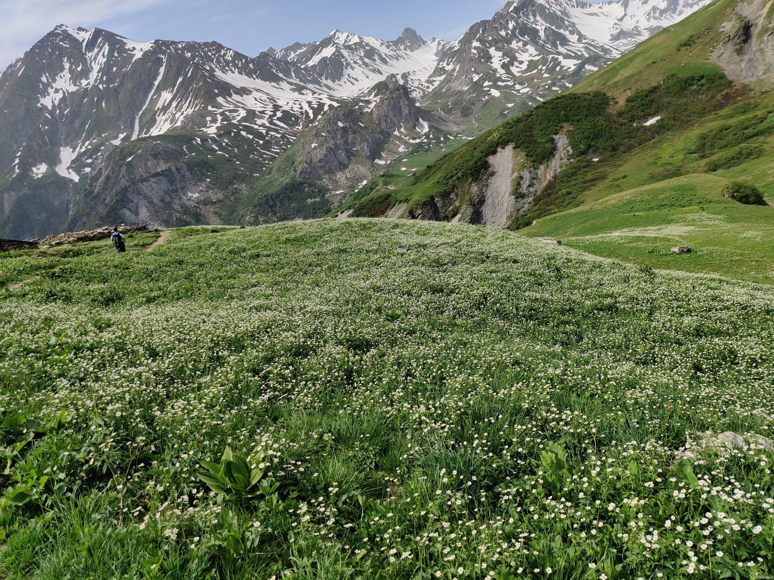 Mont Blanc 徒步 第四天 20200620